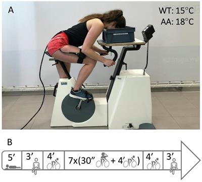 Heart Rate and Muscle Oxygenation Kinetics During Dynamic Constant Load Intermittent Breath-Holds